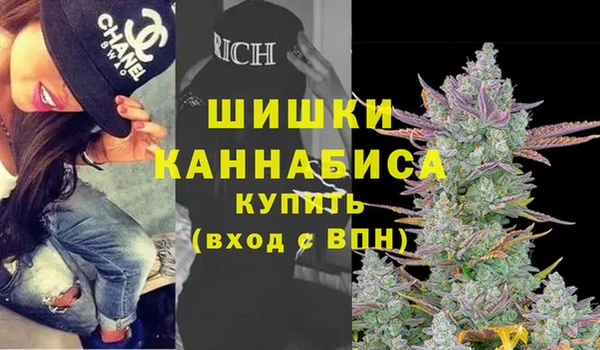сатива Алексин