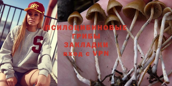 сатива Алексин