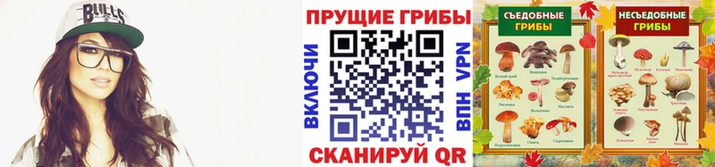 мега вход  Кохма  Псилоцибиновые грибы Psilocybe  купить наркоту 