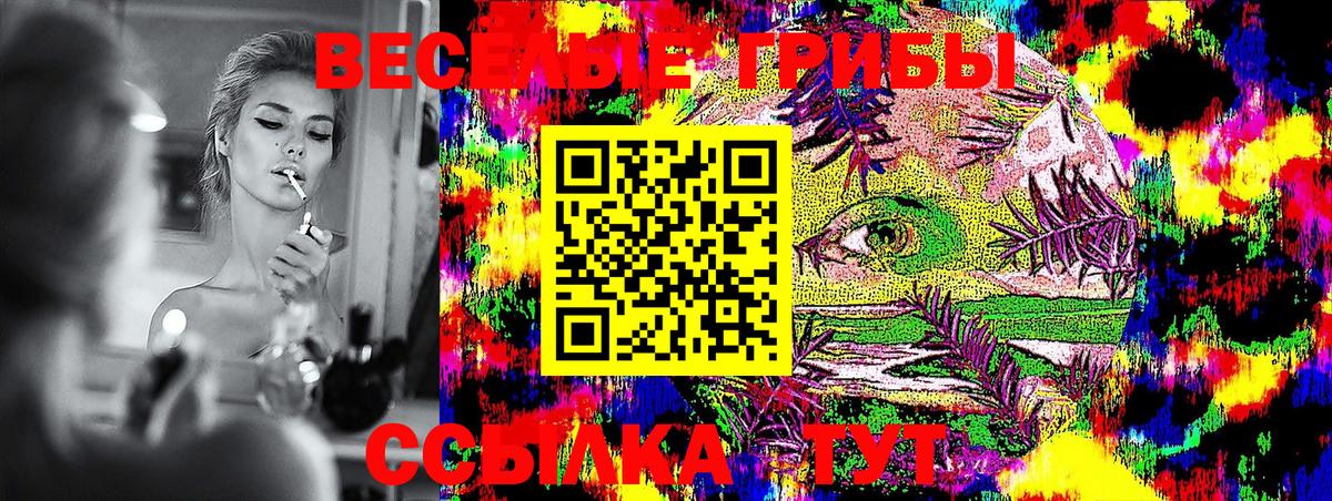 Галлюциногенные грибы MAGIC MUSHROOMS  Псилоцибиновые грибы Psilocybine cubensis  Кохма  Вход с VPN 