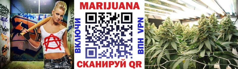 как найти наркотики  Кохма  Бошки Шишки ГИДРОПОН 